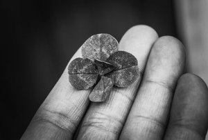  Nền tảng đáng tin cậy 
